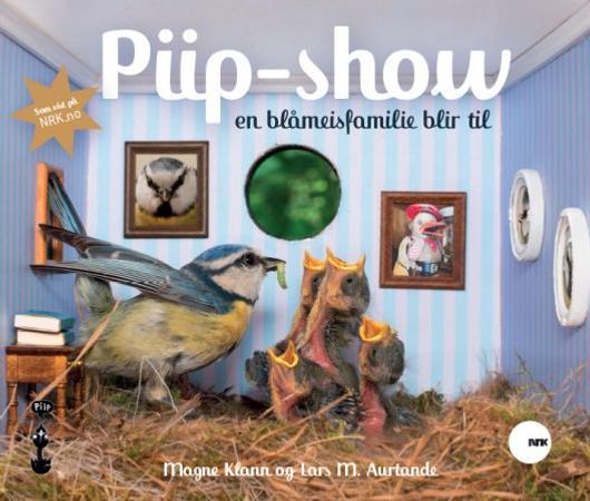 Piip-show; en blåmeisfamilie blir til: en blåmeisfamilie blir til