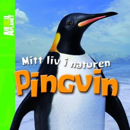 Pingvin