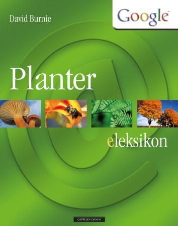 Planter