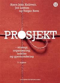 Prosjekt: strategi, organisering, ledelse og gjennomføring