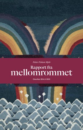 Rapport fra mellomrommet