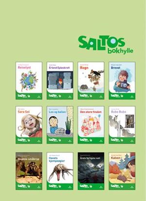 Saltos bokhylle nivå 5-6 for barneskole, norsk, produsert av Gyldendal, synlig med flere bøker på hyllen.