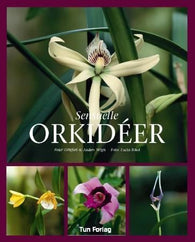 Sensuelle Orkideer