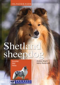 Shetland sheepdog: karakter, stell, helse