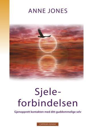 Sjeleforbindelsen: gjenopprett kontakten med ditt guddommelige selv