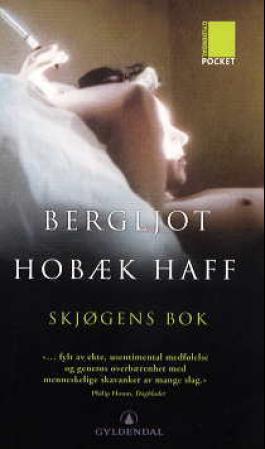 Skjøgens bok: roman