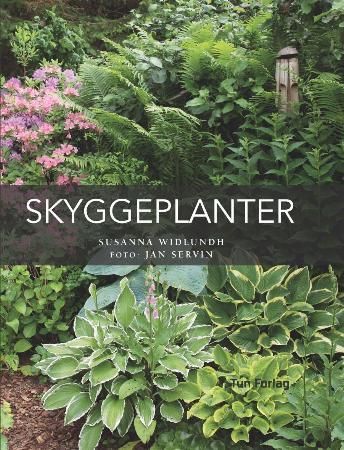Skyggeplanter