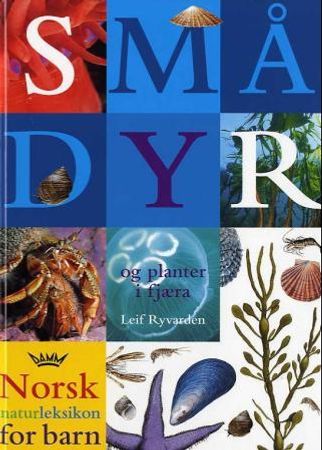 Smådyr og planter i fjæra