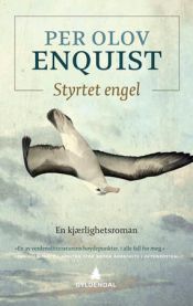 Styrtet engel: en kjærlighetsroman