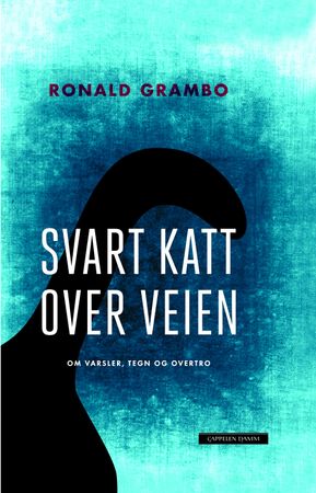 Svart katt over veien