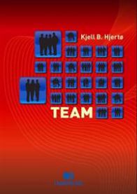 Team av økonomi- og ledelseseksperter samlet foran en kontorvegg i en profesjonell setting.
