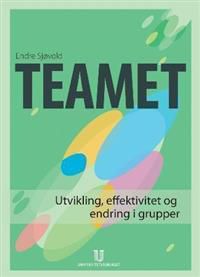 Teamet: utvikling, effektivitet og endring i grupper