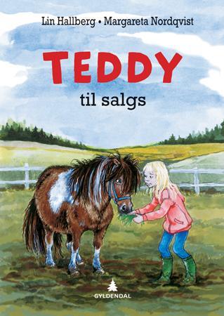 Teddy til salgs innbundet roman for junior fra Gyldendal Norsk Forlag AS, vises med bokomslag og mykt tiltrekkende design