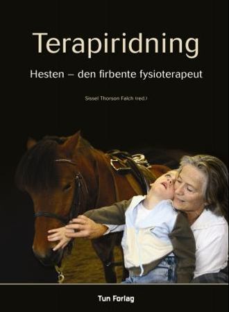 Terapiridning