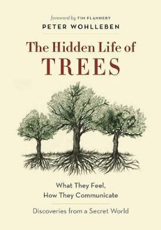 The hidden life of trees