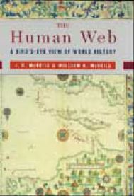 The Human Web: A Bird's-Eye View of World History