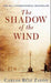 The shadow of the wind