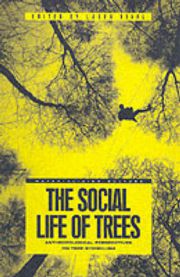 The social life of trees: anthropological perspectives on tree symbolism