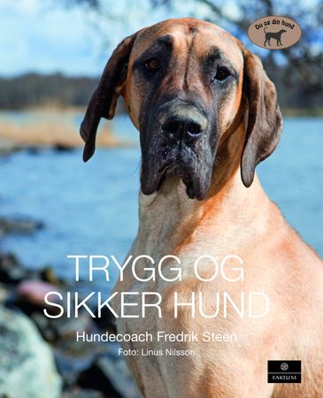 Trygg og sikker hund