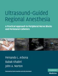 Ultralydveiledet regional anestesi med nerveblokker og perineurale katetre, vist med medisinsk utstyr og ultralydskanner.
