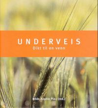 Underveis: dikt til en venn