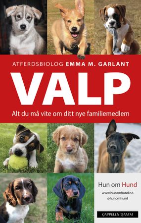 Valp