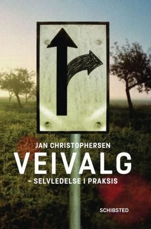 Veivalg