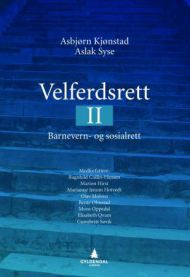 Bilde av Jus Velferdsrett II fra Gyldendal, med fokus på barnevern og sosialrett i lærebokformat.