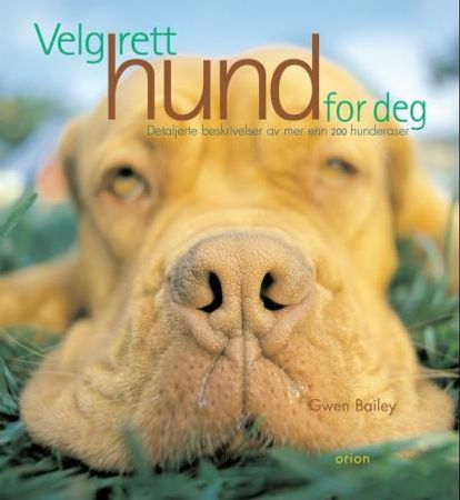 Velg rett hund for deg