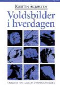 Voldsbilder i hverdagen: om menns forståelse av kvinnemishandling